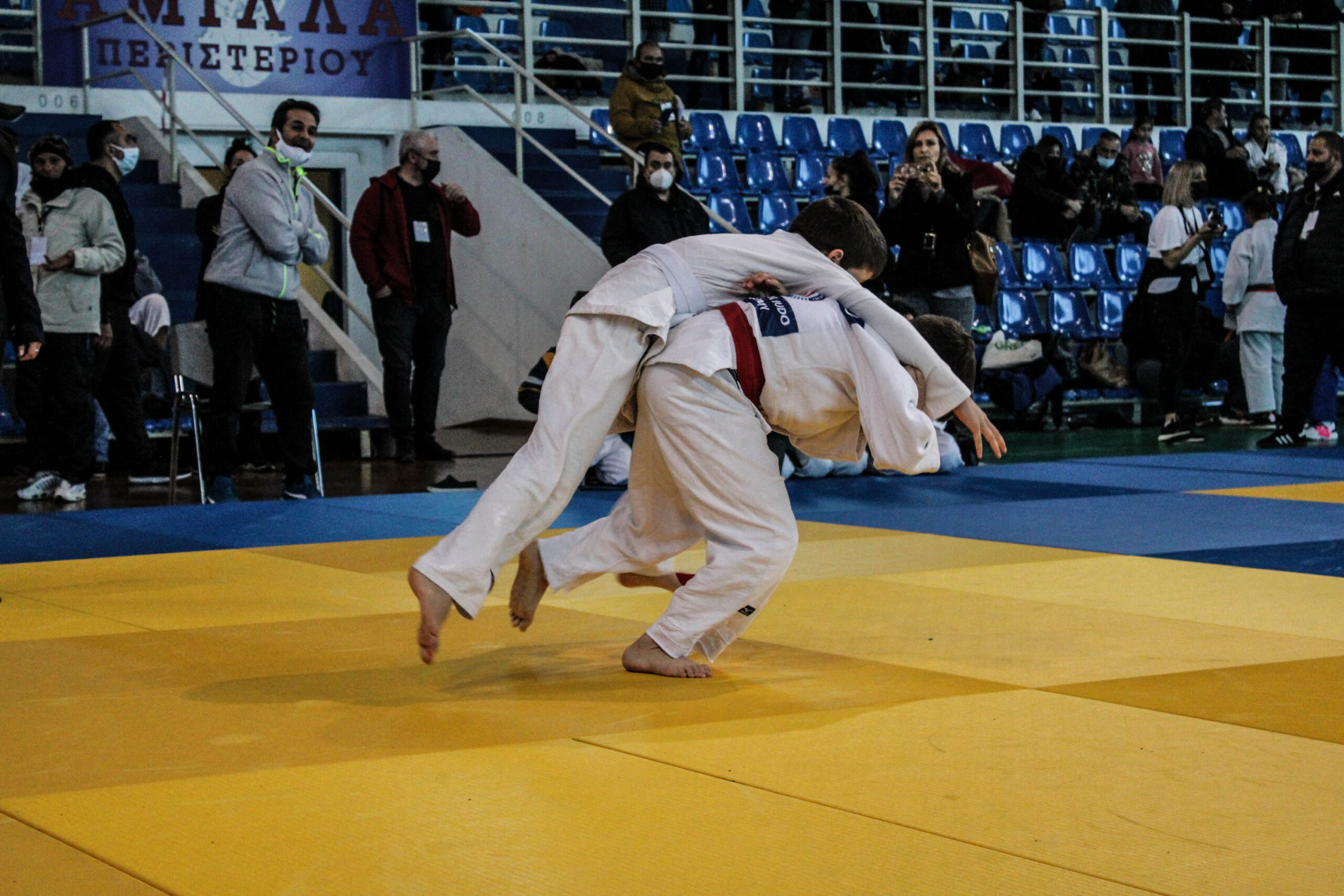 Judo (254)