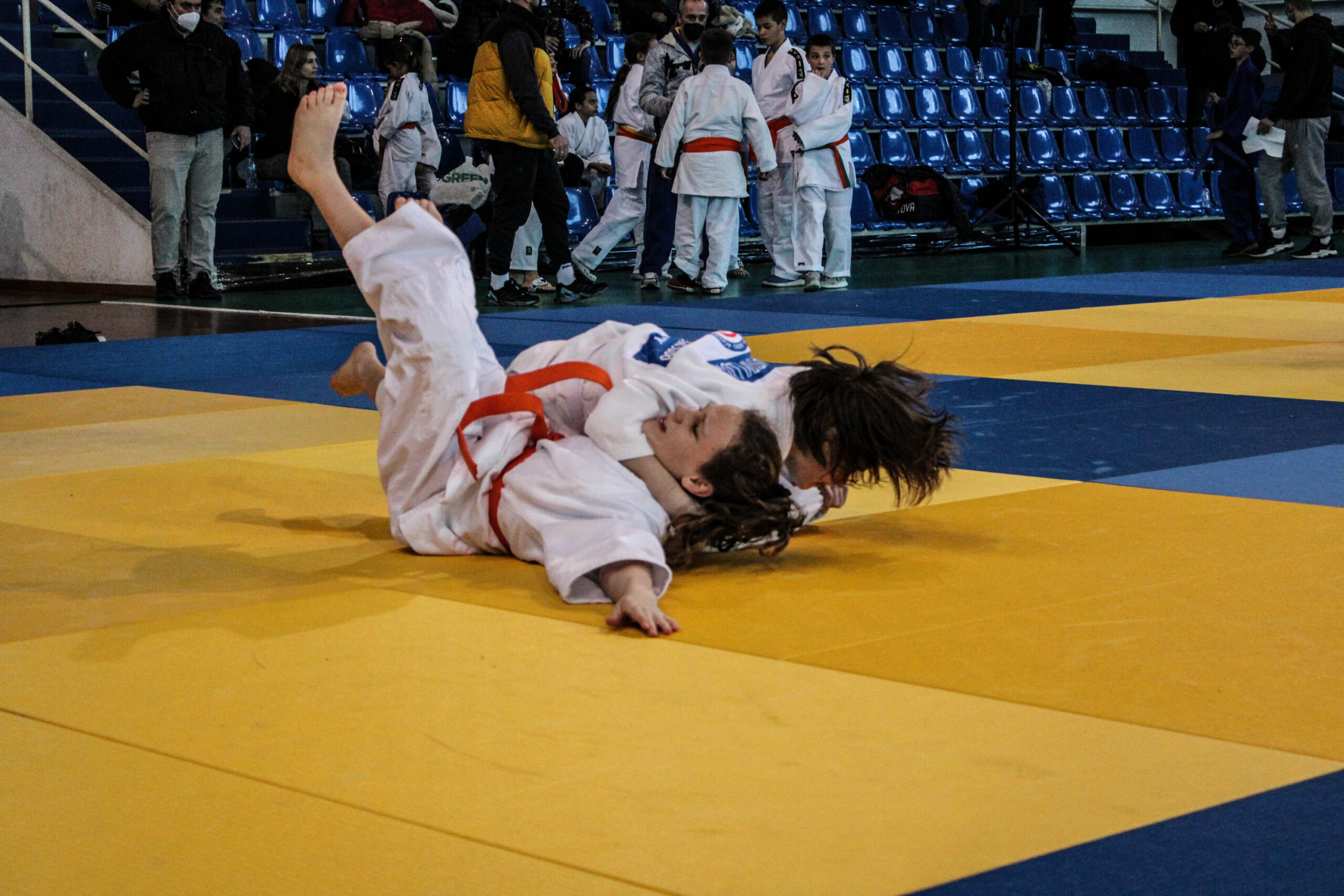 Judo (360)