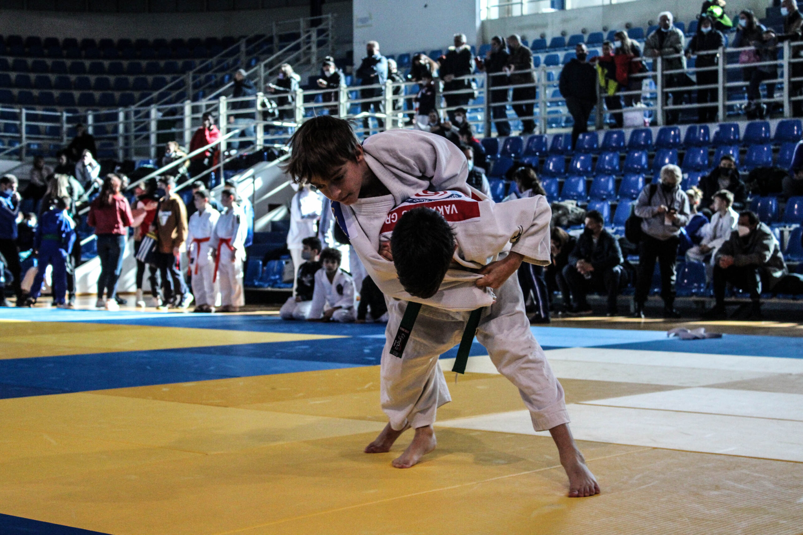 Judo (377)