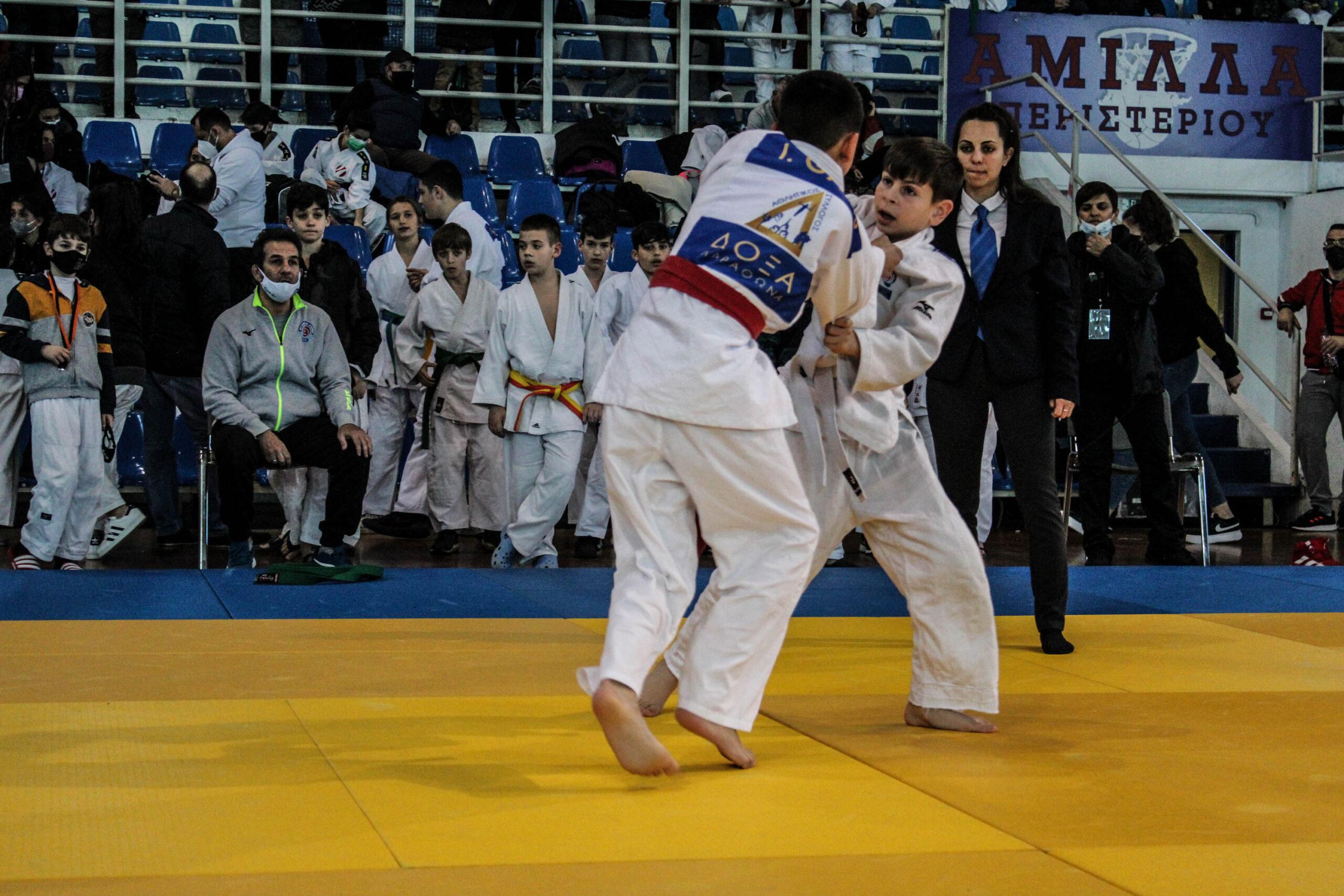 Judo (519)